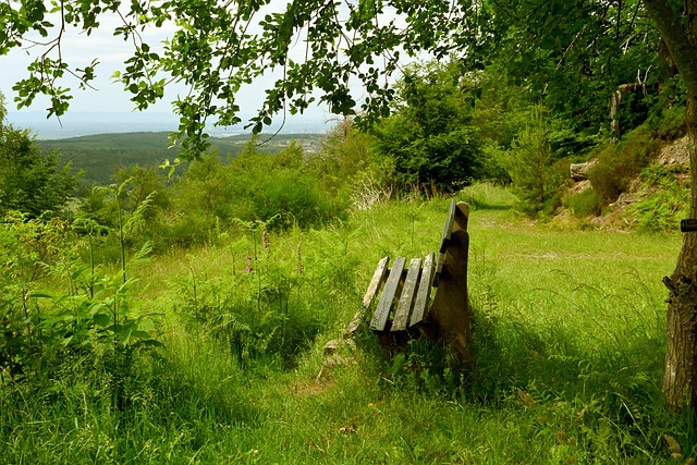 了几位关键 了几位关键