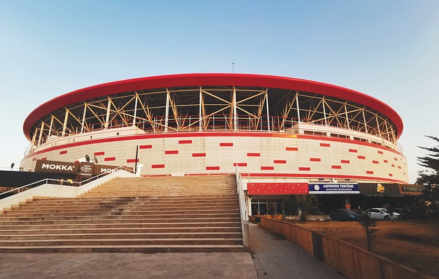 化无疑将为 化无疑将为