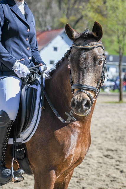 马刺始终未 马刺始终未