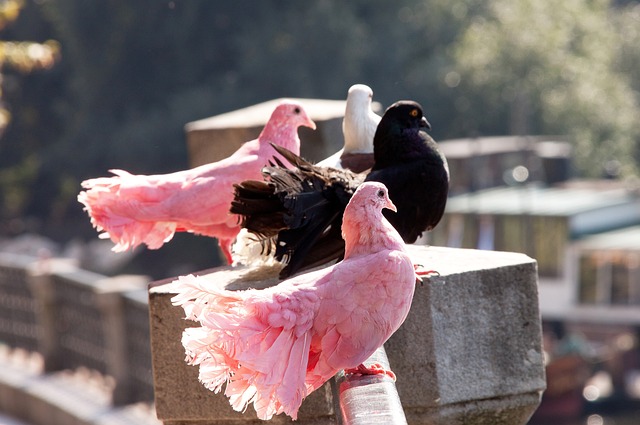 于不少资深 于不少资深