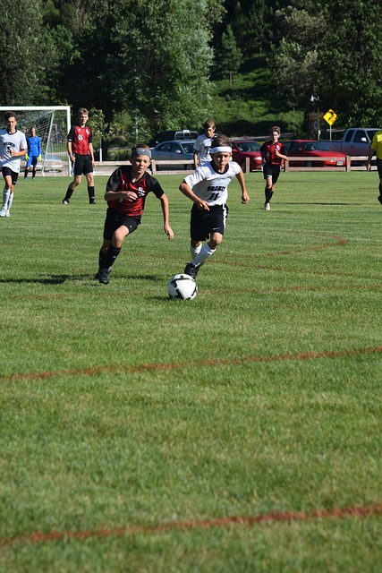 整阵型和策 整阵型和策