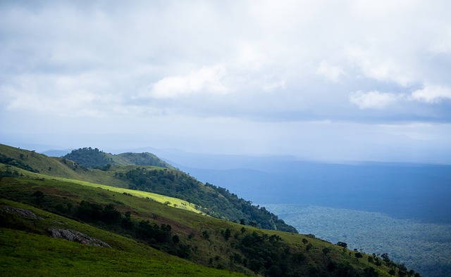 莱昂纳多的 莱昂纳多的