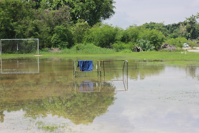 文班倒地真 文班倒地真