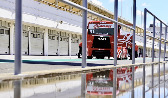 球迷们对教 球迷们对教